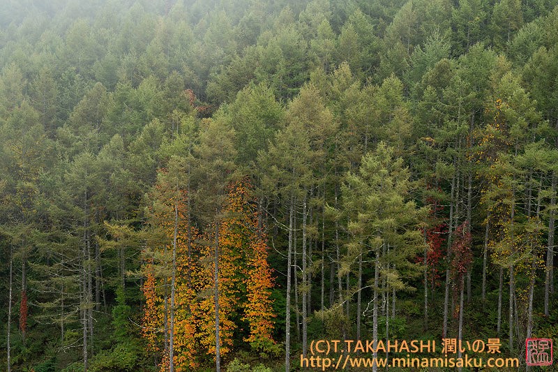 ../Images/7R251013 (78).jpg